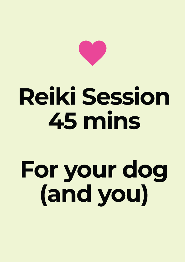 Reiki Session